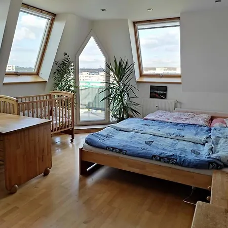 Very Comfortable Flat For The Whole Family 아파트 프라하