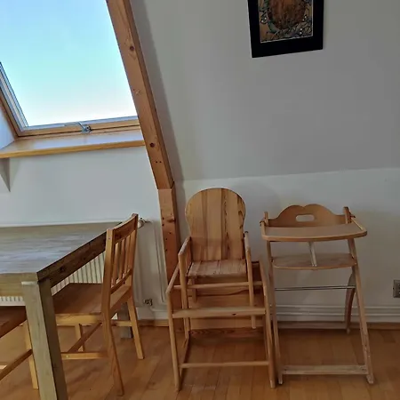 Very Comfortable Flat For The Whole Family 公寓 布拉格